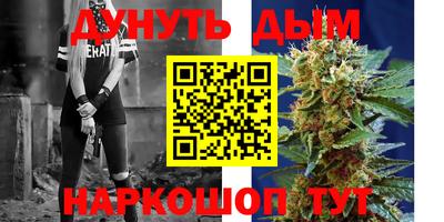 прущие грибы Будённовск