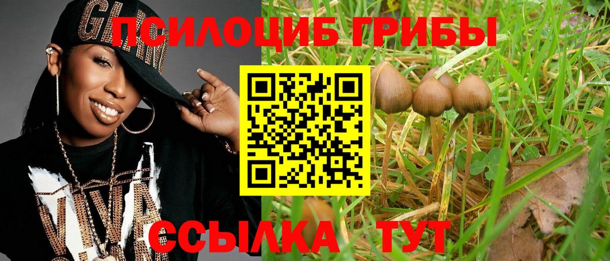 Псилоцибиновые грибы прущие грибы  купить   Ухта  Вход с VPN 